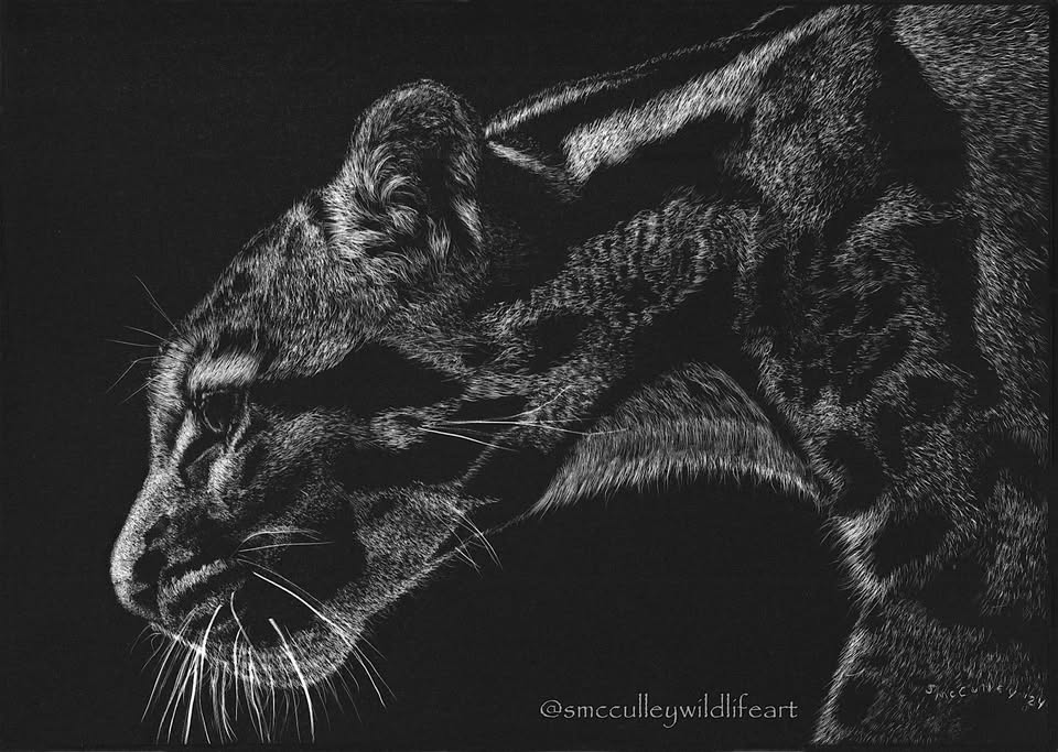 Introduction to Scratchboard with Susan McCulley