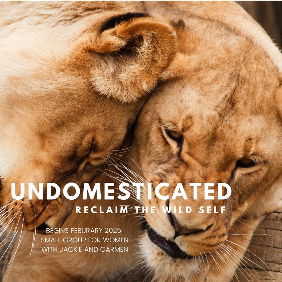 Undomesticated: Reclaim the Wild Self