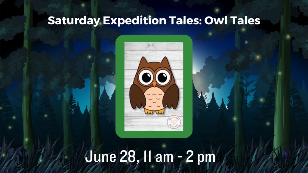 Saturday Expedition Tales: Owl Tales