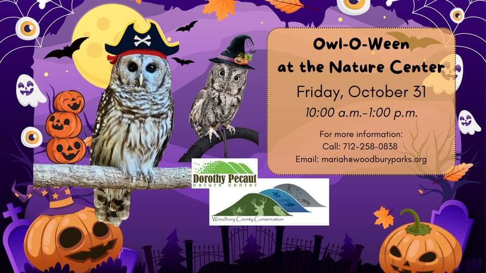 Owl-O-Ween at the Nature Center