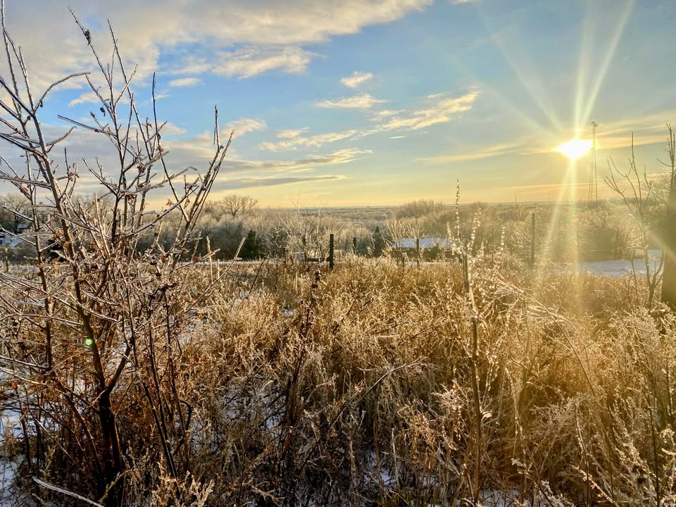 Into the Stillness – A Therapeutic Restorative Event Into the Stillness – A Therapeutic Restorative Event