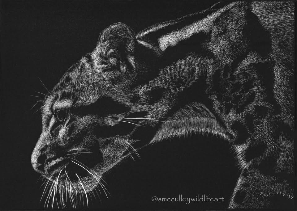 Scratchboard Art Workshop