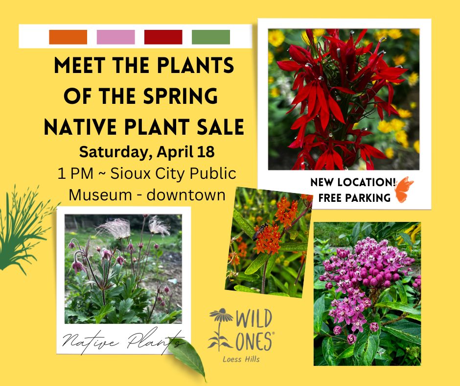 Meet the Plants of the Native Plant Sale